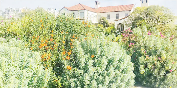 香港中文大学研究生申请