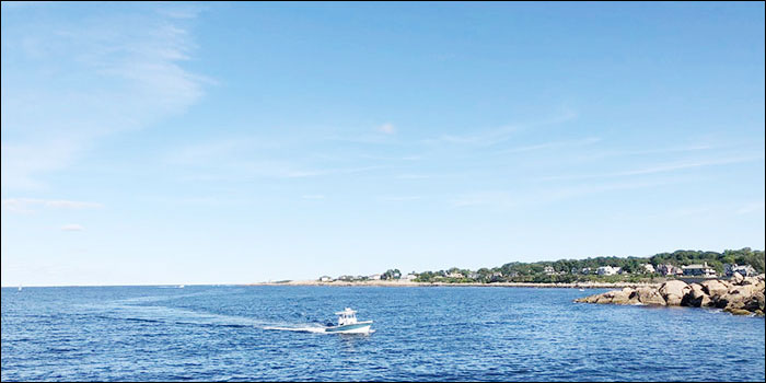 香港中文大学研究生申请程序