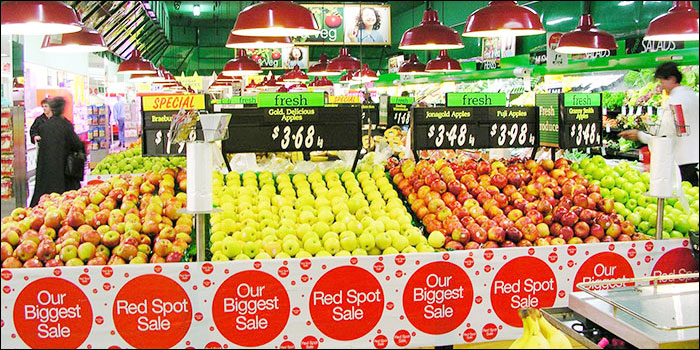 香港留学签证申请表